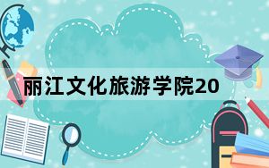 丽江文化旅游学院2024年全国各省录取最低分数线和位次汇总