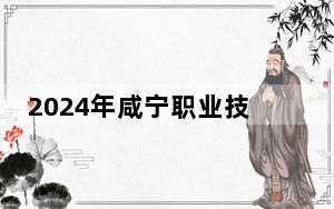 2024年咸宁职业技术学院在青海招生计划和学费是多少？录取分数线是多少？