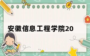安徽信息工程学院2024年学费明细：每年24600元（供河南考生参考）
