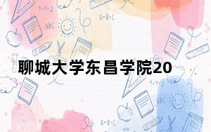 聊城大学东昌学院2024年录取最低分数线是多少？宁夏考生2025年参考