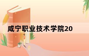 咸宁职业技术学院2024年学费标准：每年5000元到6500元（各专业收费标准）