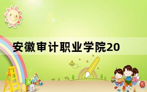 安徽审计职业学院2024年学费标准：每年3500元（各专业收费标准）