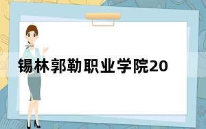 锡林郭勒职业学院2024年在山东招生最低录取分数线和招生计划公布！