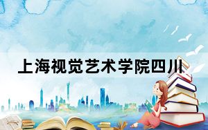 上海视觉艺术学院四川省分数线是多少？2025年四川考生参考
