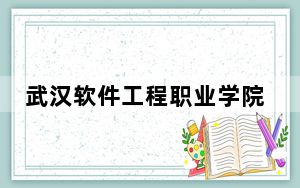 武汉软件工程职业学院2024年录取最低分数线公布：广西考生2025年参考