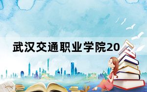 武汉交通职业学院2024年全国各省录取最低分数线和位次汇总