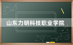 山东力明科技职业学院2024年学费明细：每年16800元-39800元（供山东考生参考）