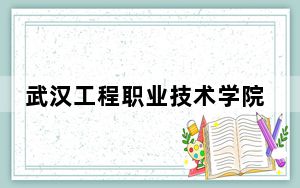 武汉工程职业技术学院在河北招生计划和录取分数线是多少？2025河北考生参考