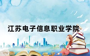 江苏电子信息职业学院2024年录取最低分数线公布：浙江考生2025年参考