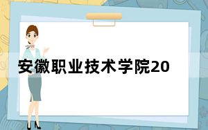 安徽职业技术学院2024年最低录取分数线和位次（全国各地数据汇总）