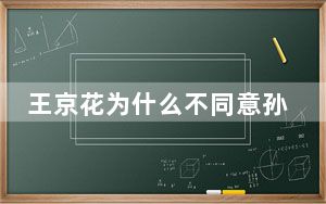 王京花为什么不同意孙怡 背后真相令人震惊