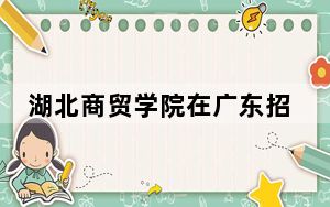 湖北商贸学院在广东招生计划和录取分数线是多少？2025广东考生参考