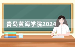 青岛黄海学院2024年录取最低分数线是多少？云南考生2025年参考