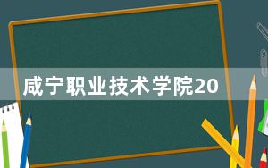 咸宁职业技术学院2024年录取最低分数线公布：江苏考生2025年参考