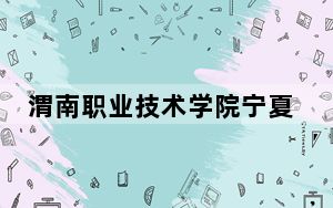 渭南职业技术学院宁夏回族自治区录取分数线是多少？2025年宁夏考生参考