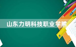山东力明科技职业学院2024年在重庆录取分数线和招生计划