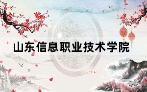 山东信息职业技术学院湖南省分数线是多少？2025年湖南考生参考