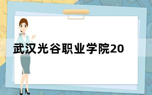 武汉光谷职业学院2024年最低录取分数线和位次（全国各省市汇总）