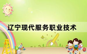 辽宁现代服务职业技术学院2024年最低录取分数线和位次（全国各省市汇总）