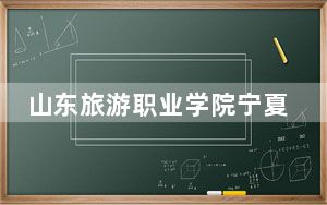 山东旅游职业学院宁夏回族自治区分数线是多少？2025年宁夏考生参考
