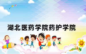 湖北医药学院药护学院2024年在四川录取分数线和招生计划