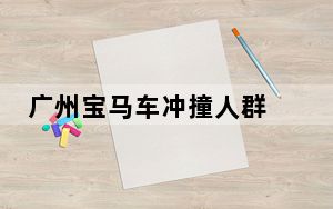 广州宝马车冲撞人群 背后真相实在令人震惊
