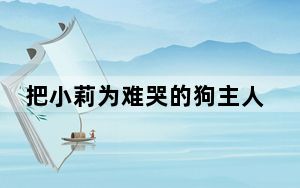 把小莉为难哭的狗主人想和解 背后真相令人震惊