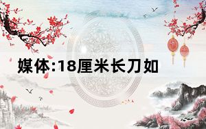 媒体:18厘米长刀如何被带上了车? 背后真相实在令人震惊