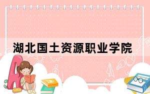 湖北国土资源职业学院海南省分数线是多少？2025年海南考生参考