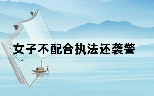 女子不配合执法还袭警被制服  背后真相让人惊讶万分