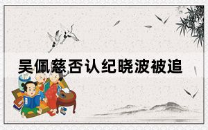 吴佩慈否认纪晓波被追债 背后真相令人震惊