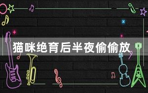猫咪绝育后半夜偷偷放屁踢主人脸 背后真相实在令人震惊