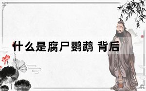 什么是腐尸鹦鹉 背后真相令人震惊