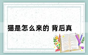 猫是怎么来的 背后真相令人震惊