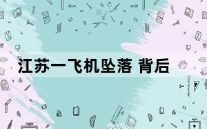 江苏一飞机坠落 背后真相实在让人惊愕