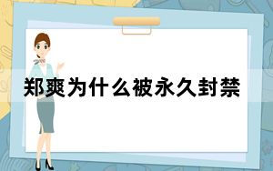 郑爽为什么被永久封禁 背后真相令人震惊