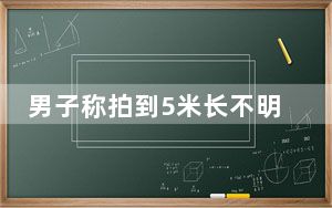 男子称拍到5米长不明生物 这到底是怎么回事？