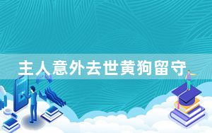 主人意外去世黄狗留守数月被救助 背后真相实在令人震惊