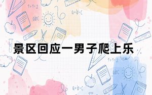 景区回应一男子爬上乐山大佛头顶 背后真相让人感到惊讶