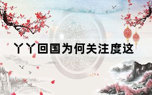 丫丫回国为何关注度这么高 背后真相令人震惊