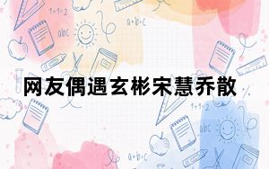 网友偶遇玄彬宋慧乔散步遛狗 背后真相让人感到惊讶