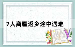 7人离疆返乡途中遇难:年龄最大60岁 背后真相实在令人震惊