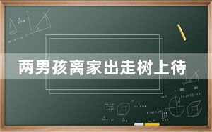 两男孩离家出走树上待了两天两夜 这到底是怎么回事？