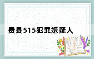 费县515犯罪嫌疑人笔录 背后真相令人震惊
