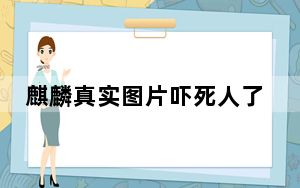 麒麟真实图片吓死人了？ 背后真相让人感到惊讶