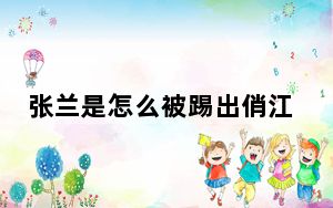 张兰是怎么被踢出俏江南的 背后真相实在令人震惊