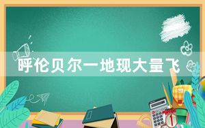 呼伦贝尔一地现大量飞虫 内幕曝光简直太罕见了