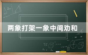 两象打架一象中间劝和 背后真相让人感到惊讶