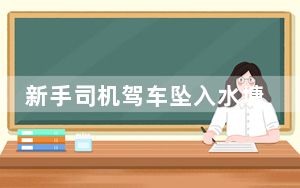 新手司机驾车坠入水塘 背后真相实在让人惊愕