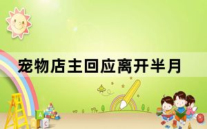 宠物店主回应离开半月猫狗被饿死 背后真相让人感到惊讶